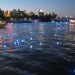 Tokyo, Sumida River, Hotaru Festival, LED lights, Tokyo fireflies