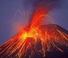 It Took Earth’s Species 10 Million Years To Recover After “The Great Dying”