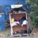 Berlin,Wagendorf Lohmühle, Caravan Village, experimental architectural, vermicompost, compost, rain water collection system, clothes recycling, art, recycled materials, caravan, kreuzberg, Prefab Housing, Architecture, Urban design social design, Renewable Energy Recycling / Compost, Botanical,