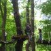 Waldhochseilgarten, Botanical, Zero energy, Landscape Architecture, berlin, Edelrid SmartBelay System, Volkspark Jungfernheide, climbing circuits, harness, treetops