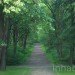 Waldhochseilgarten, Botanical, Zero energy, Landscape Architecture, berlin, Edelrid SmartBelay System, Volkspark Jungfernheide, climbing circuits, harness, treetops