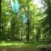 Waldhochseilgarten, Botanical, Zero energy, Landscape Architecture, berlin, Edelrid SmartBelay System, Volkspark Jungfernheide, climbing circuits, harness, treetops