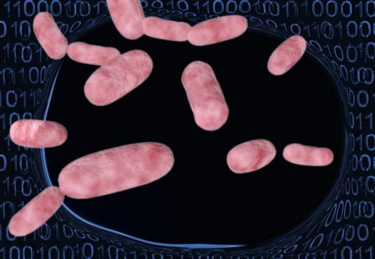 nanotech, magnetic bacteria, bio computing, bio computers, bio-neural circuitry, nanomagnets bacteria, university of leeds, iron magnets bio computer