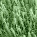 Stanford, nanotechnology, nanowires, bejeweled nanowires, nanoparticles