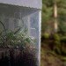 Biopod, green energy, scotland, university of dundee, green design, eco design