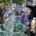 Bubble Building, The Netherlands, ZigZagCity, Rotterdam, DUS Architects, temporary design, green design, sustainable design, eco-design, global economic crises, tiny footprint, interactive design, community