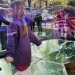 Bubble Building, The Netherlands, ZigZagCity, Rotterdam, DUS Architects, temporary design, green design, sustainable design, eco-design, global economic crises, tiny footprint, interactive design, community