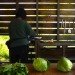 Casagrande Laboratory, Chen House, wooden construction, natural disasters, earthquakes, typhoons, bioclimatic design, taiwan, Datun, green design, sustainable design, eco-design, farmhouse
