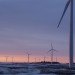 renewable energy, clean energy, wind power, solar, NCES, national clean energy standard, Matthew Kotchen, Andrew Leiserowitz, Joseph Aldy, congress, clean energy policy