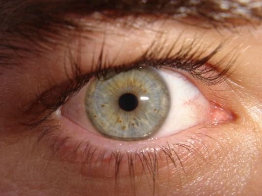 bionic eye, retinal implants, Stanford university, cure for blindness, blindness, James Loudin, solar cells, electrical engineering, specialized goggles
