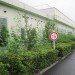 green curtain, natural insulation, kyocera technology, energy saving plants, snow peas