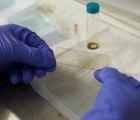 USC Researchers Develop Liquid Nanocrystal Solar Cells that Can Be Printed Onto Plastic