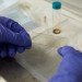 Liquid Solar Cell, solar power, solar cell, USC, University of Southern California