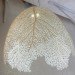 Nervous System, 3d printing, 3d printed design, icff 2012, international contemporary furniture fair, green lighting, led lighting, low-energy lighting, energy-efficient lighting, green products, green interiors, sustainable design, green design, hyphae lamp