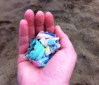 Scripps Study Shows Plastic in Pacific Garbage Patch Has Increased 100-Fold