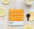 Emilie Griottes Serves Up Sumptuous Edible Pantone Swatches