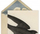Paperless Post Teams Up With Designer John Derian to Launch Beautiful Evite Line