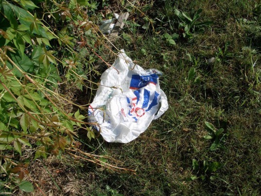 green design, eco design, sustainable design, plastic bag ban, Los Angeles