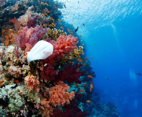 green design, eco design, sustainable design, Hawaii plastic bag ban, plastic bag ban, plastic bags