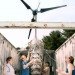 Wind Power, Wind Turbine, Wind Mill, Renewable Energy, Princeton