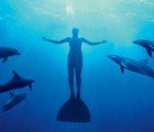 Japan Town Featured in ‘The Cove’ Plans To Open Dolphin Park