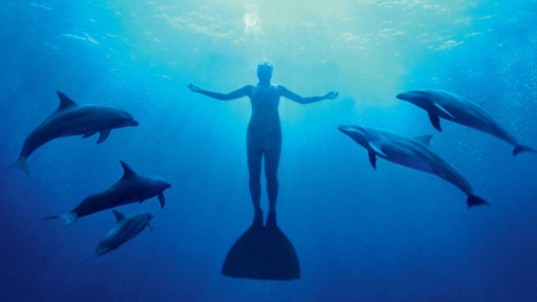 The Cove movie, dolphins, Japan, Taiji, scuba diver