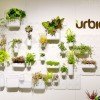 Transform Bare Walls to Bright Indoor Gardens with the Versatile Urbio System