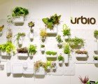 Transform Bare Walls to Bright Indoor Gardens with the Versatile Urbio System