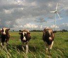 Study Suggests Wind Farms are Warming Local Climates