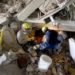 university of oxford, badger tracking, search and rescue equipment, search and rescue, natural disasters, terrorist attacks, low frequency fields, animal tracking, GPS, emergency services
