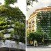 Capella Garcia Arquitectura, Barcelona, Green Side Wall, Vegitectura, Spain, living wall, green wall, vertical garden, drip irrigation, green design, sustainable design, eco-design, carbon sponge, pollution, acoustic screen