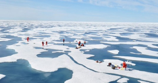 Chukchi Sea ice, icescape, algal bloom, phytoplankton bloom, stanford university, nasa icescape, rainforest arctic bloom, arctic ecosystem