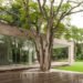 Isay Weinfeld, Grecia House, São Paulo, Brazil, natural light, wood, trees growing inside, minimalistic, greenery, open plan, Air quality, Architecture, green Interiors, Daylighting