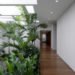 Isay Weinfeld, Grecia House, São Paulo, Brazil, natural light, wood, trees growing inside, minimalistic, greenery, open plan, Air quality, Architecture, green Interiors, Daylighting