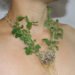 Mischer'traxler, Jewelery, Plants, Rozet&Fischmeister Court Jewelers, Art, Botanical, Accessories and Fashion, grow your own