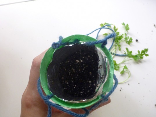 bottle planters, recycled bottle planters, hanging planters, diy planters, how to make a bottle planter, soda bottle planter, recycled materials, green gardening, eco gardening