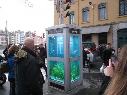 environment,design,culture,fish,food,art,climate change,recycle,cities,light,france,reuse,aquarium,cellphone,image of the day,benoit deseille,benedetto bufalino,festival of light,lyon,phone booth,good pets