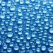 hydrophobic surfaces, self-healing paint, self-healing coat, self-repairing materials, eindhoven university of technology, nano paint, nano surfaces, paint, self-cleaning cars