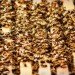 bee population, colony collapse, bee hive, bee keeping, pollinator protection