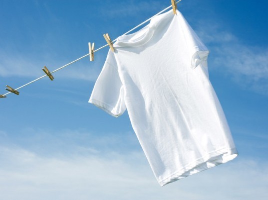 T-shirt, clothesline, clothes line, cotton t-shirt, white t-shirt