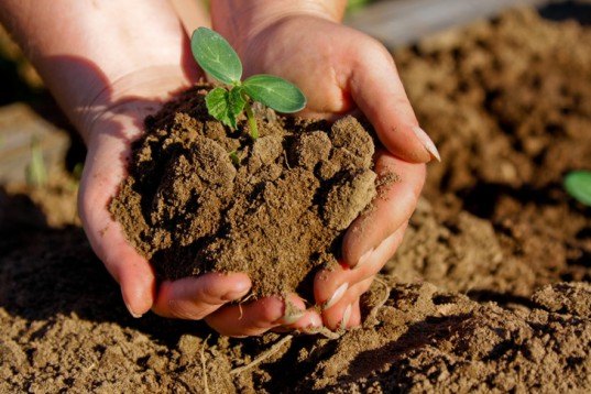 weed dating, speed dating, earthly delights farm, casey o'leary, idaho farm, farm dating, green dating,