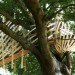 Dartmoor Treehouse, Jerry Tate Architects, dartmoor arts, treehouse, woven treehouse, student project