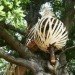 Dartmoor Treehouse, Jerry Tate Architects, dartmoor arts, treehouse, woven treehouse, student project
