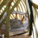 Dartmoor Treehouse, Jerry Tate Architects, dartmoor arts, treehouse, woven treehouse, student project