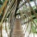 Dartmoor Treehouse, Jerry Tate Architects, dartmoor arts, treehouse, woven treehouse, student project