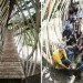 Dartmoor Treehouse, Jerry Tate Architects, dartmoor arts, treehouse, woven treehouse, student project