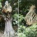 Dartmoor Treehouse, Jerry Tate Architects, dartmoor arts, treehouse, woven treehouse, student project