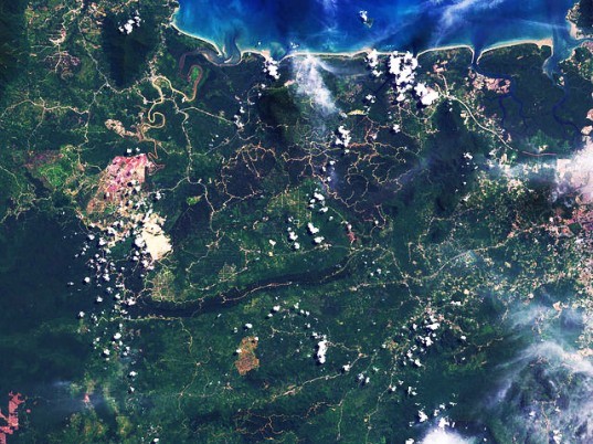 landsat, satellite, borneo, deforestation, nasa, remote sensing, imaging, earth surface, data