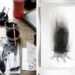 Formafantasma, Confrontations, Weil Am Rhein, Vitra Design Museum, Massimo Lunardon, Doris Wicki, Luisa Zanzani, Francesco Zorzi, charcoal, deforestation, CO2 emissions, Design Academy of Eindhoven, Green Products, Water Issues
