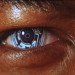 blindness, bionic eyes, weill cornell medical college, prosthetic device, visor, star trek, blind mice, neural code, retina prosthetics,